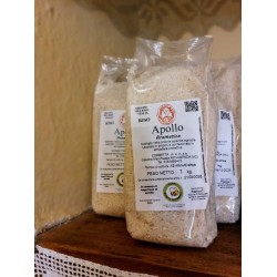 Riso Apollo Aromatico 1Kg  - Riso Corbetta